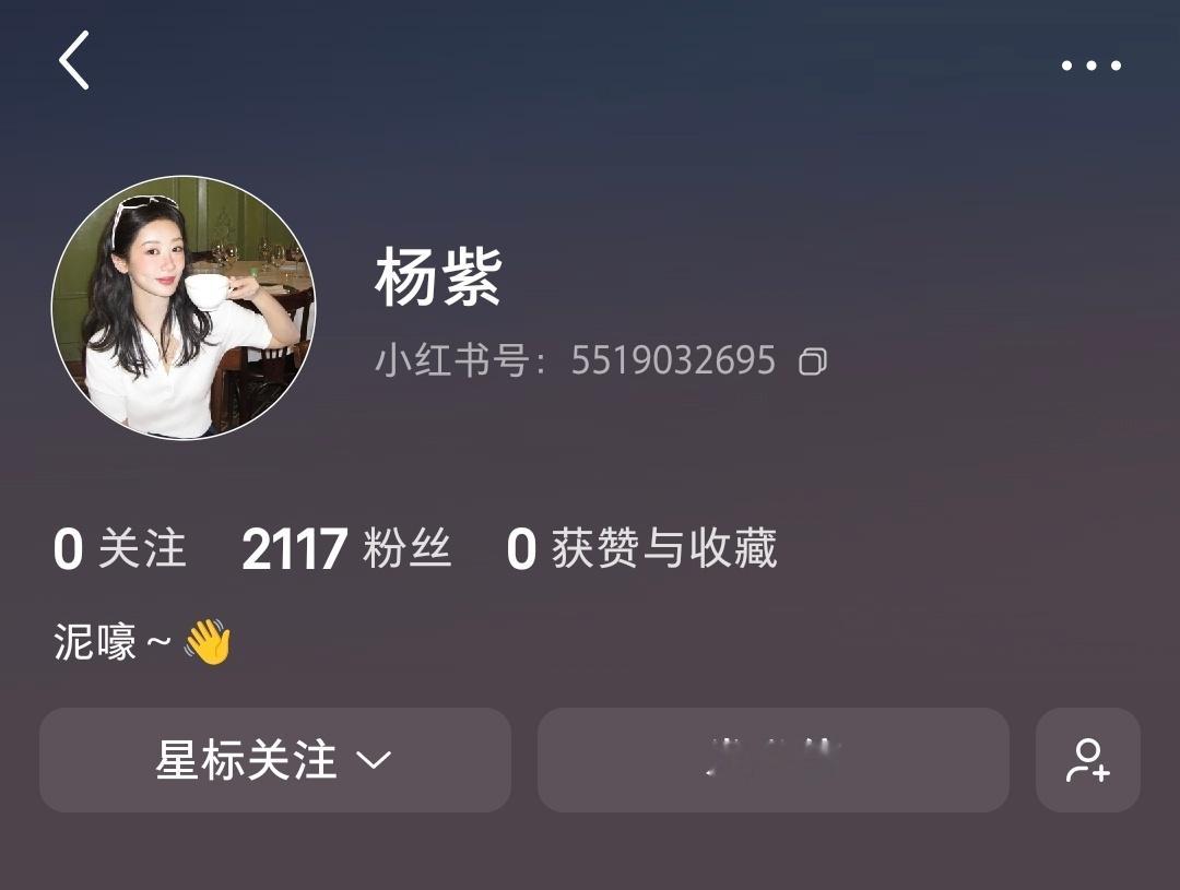 赶在两千前关注 