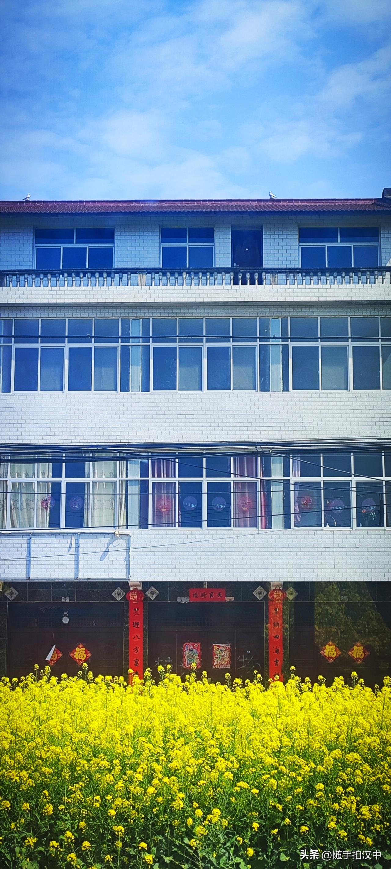 小城的油菜花节开幕了，观花点很多，我却钟爱房前屋后的这些油菜花田。不必方方正正，