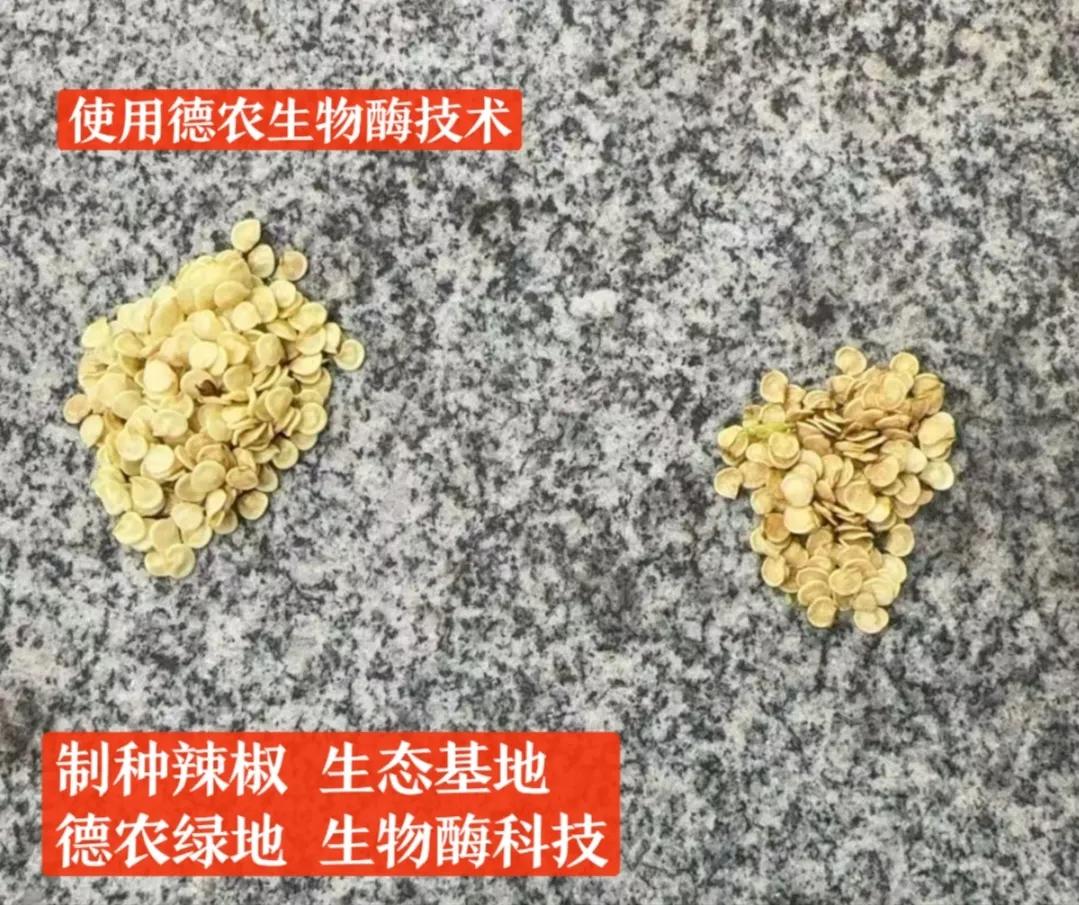 德农科技公司产品名称：

润农天®下
①号

植物源害虫抑制剂


产品功效: 