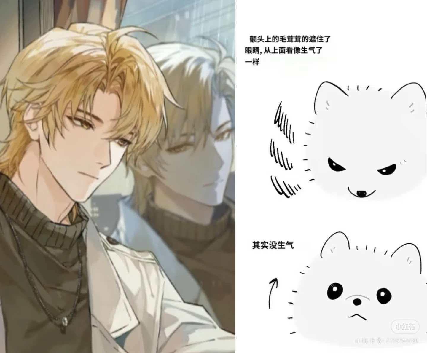 心肝。女神。姐姐。妈妈。宝宝。妹妹。我家明珠。