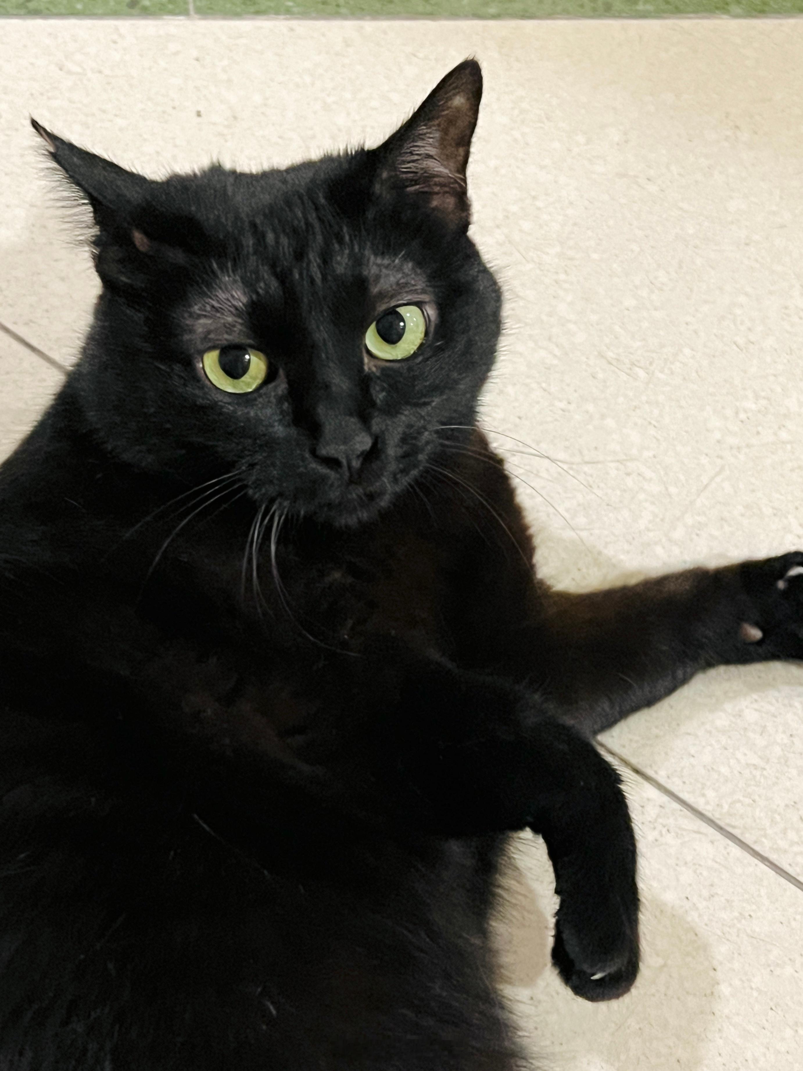 我還沒遛達夠哦～～#蝦蝦不可以太可愛# ​​​