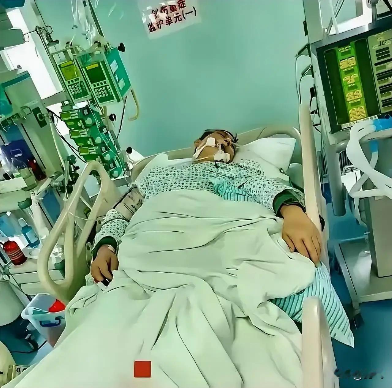 等不及或没人味？

上海的初春，寒意顺着医院走廊的缝隙往里钻，却冷不过人心。病床