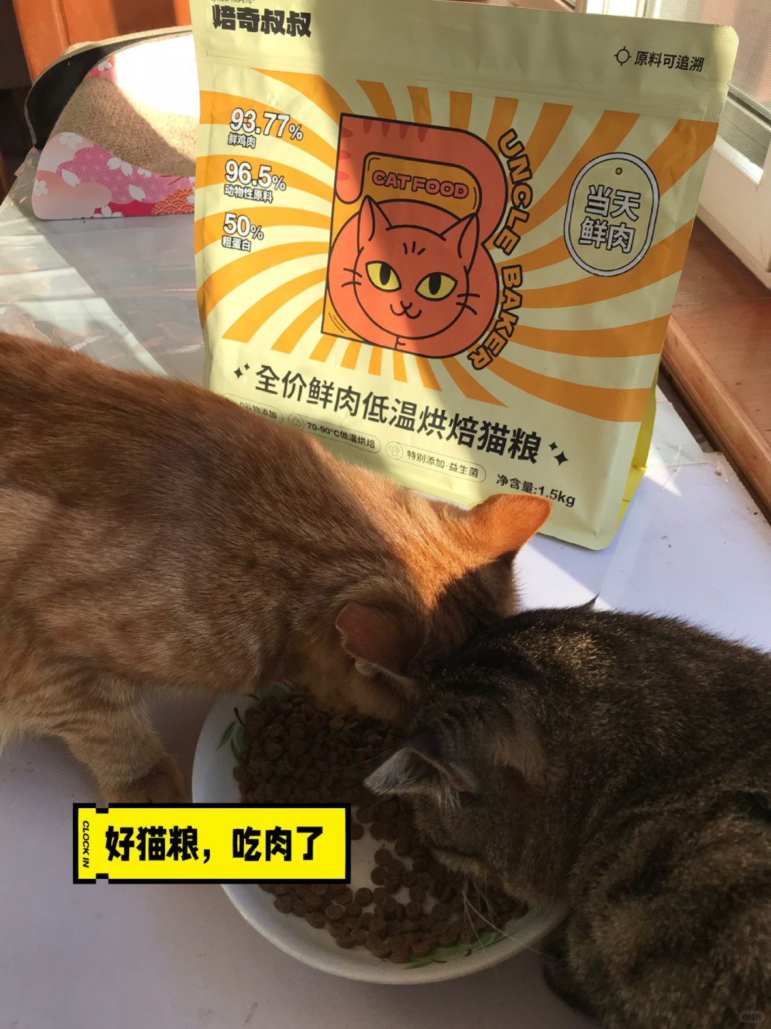 猫粮选择看什么？
√看营养成分
√看质量保证
√看猫咪的情况
焙奇叔叔全价鲜肉低...
