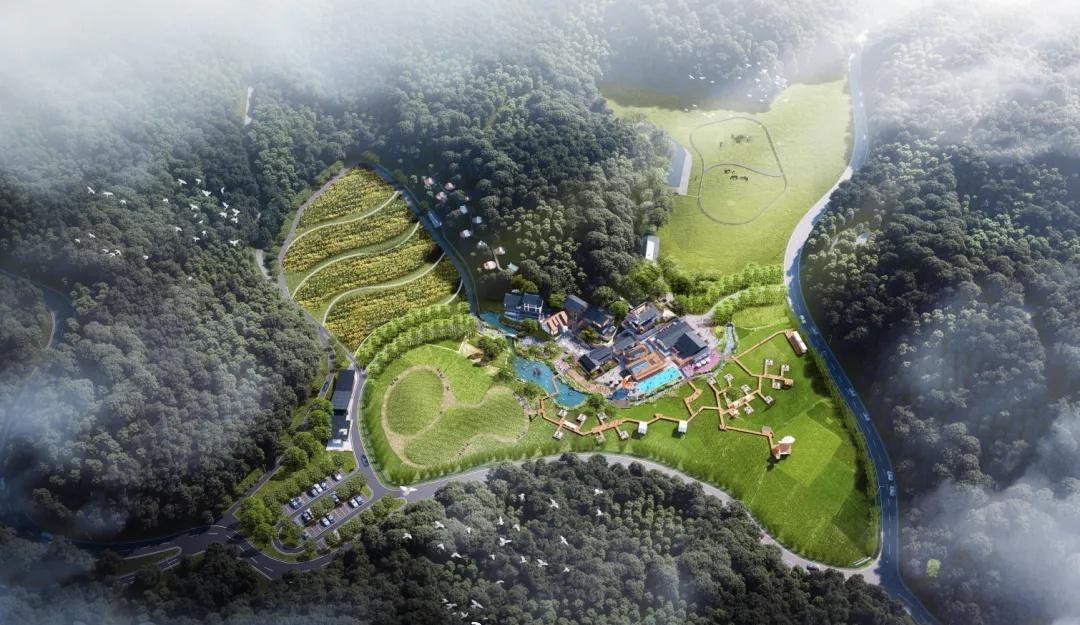 家人们！垫江猫在伴岛・月影巷露营基地建设超给力，已完成总工程量 80%+，预计 