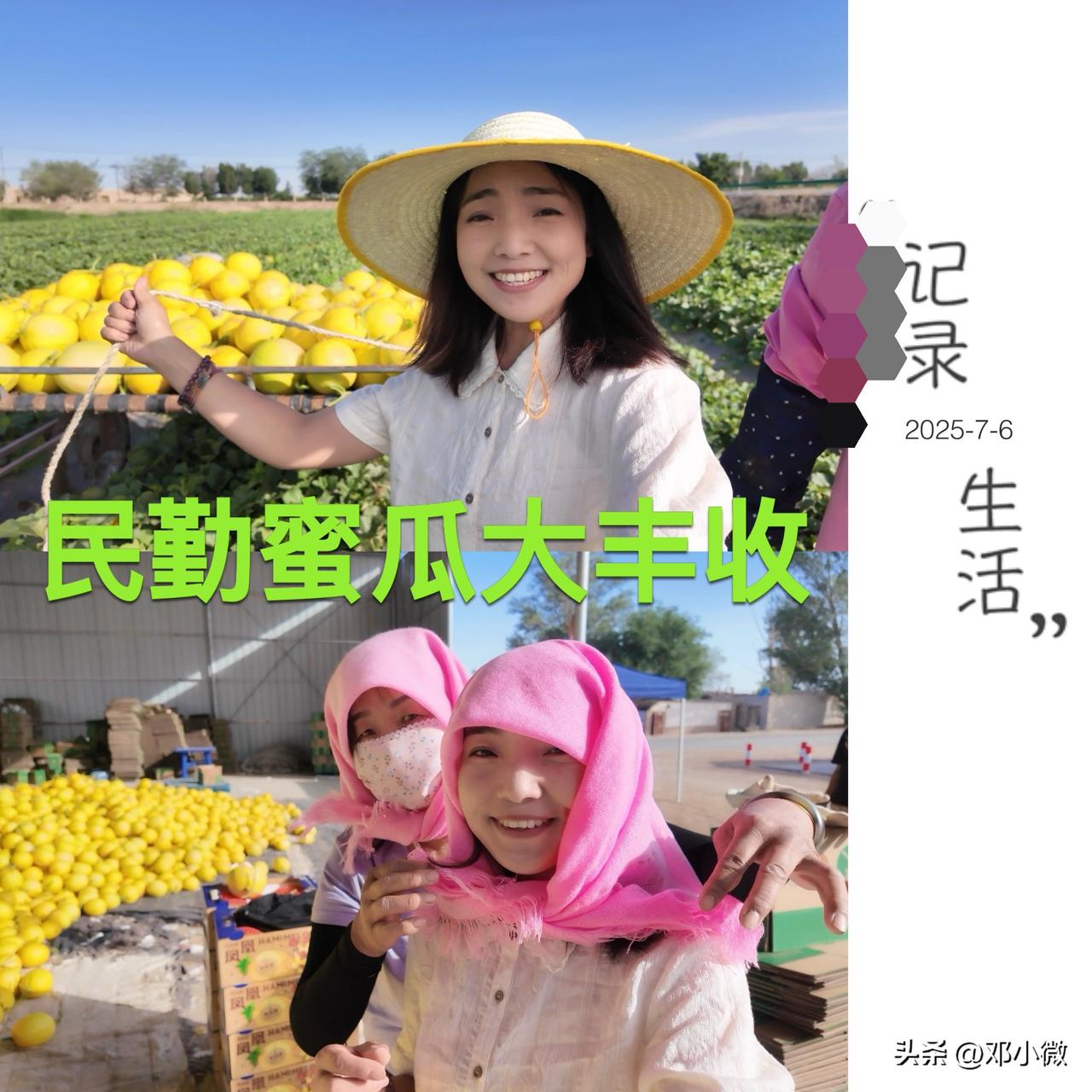 小微今日抵达瓜果之乡民勤！入乡随俗扎上头巾走进田间地头，体验蜜瓜采摘的乐趣，每一