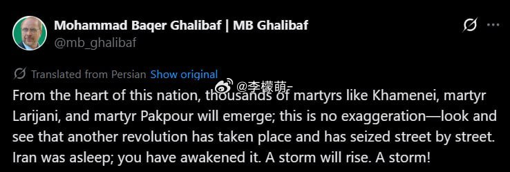 伊朗议长在推上喊话：伊朗本来睡着了，你们把它吵醒了，现在成千上万的烈士要冒出来，