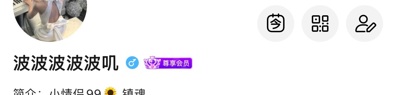 这个尊享会员是什么鬼 怎么跟首页不一样 好难看啊