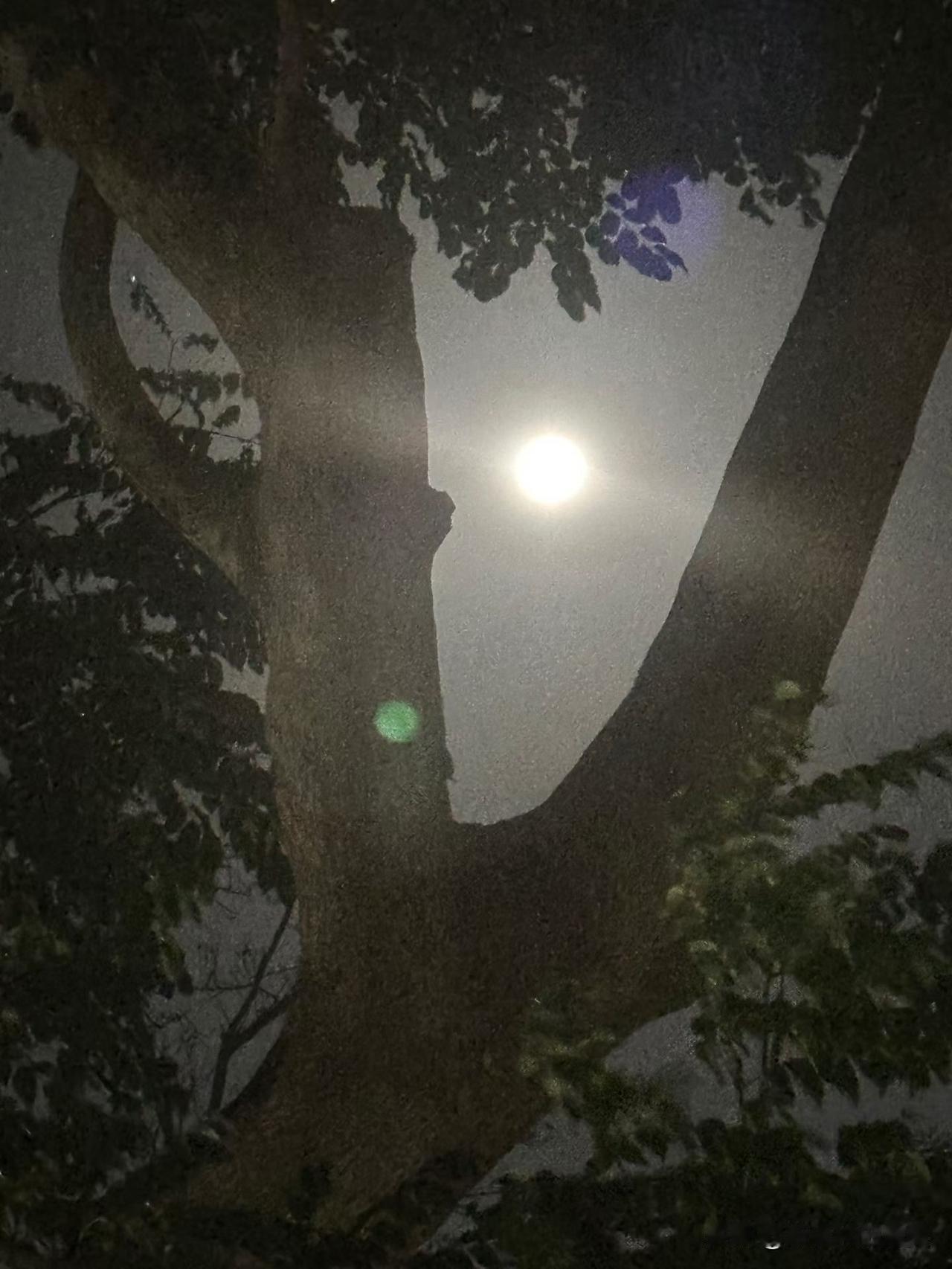 你那里的夜空是什么样的