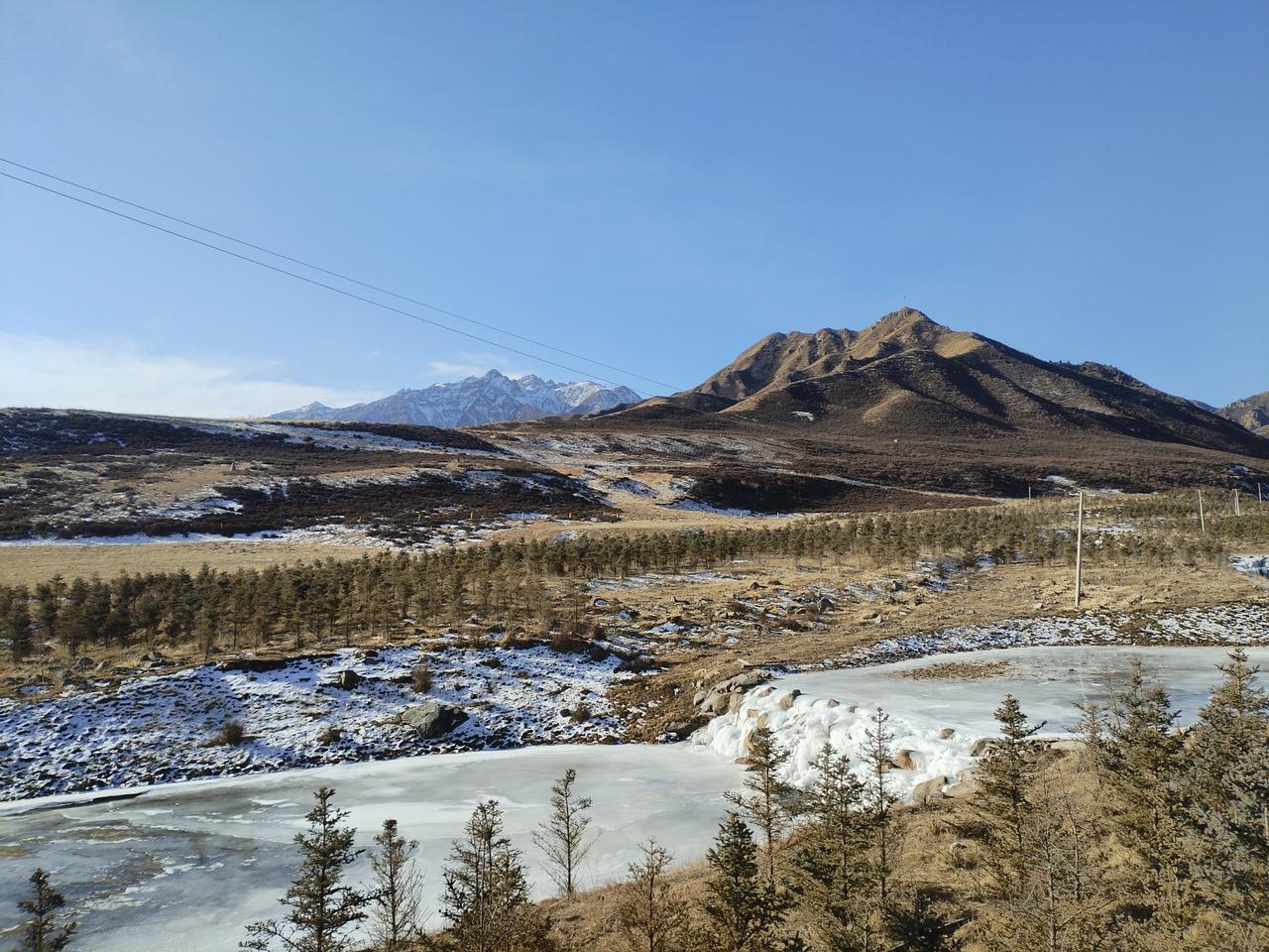 今天的天气虽然晴朗，阳光明媚，却丝毫感觉不到一丝温暖。

树枝狂舞，异常兴奋，不