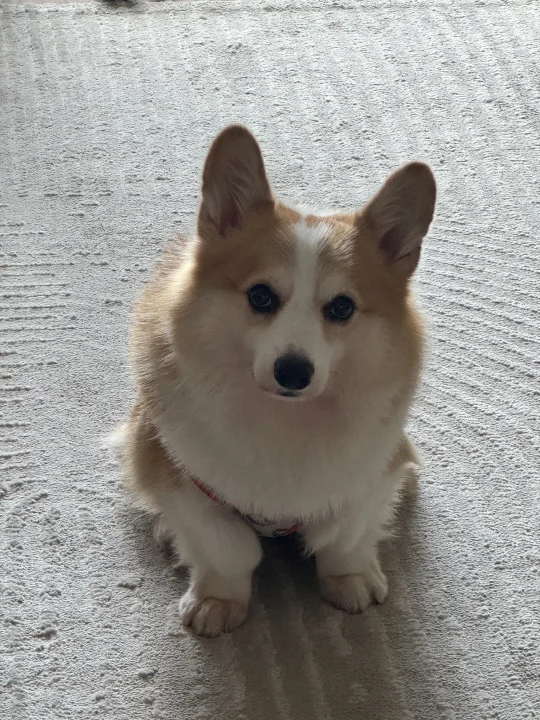 嗯？我怎么看你有点不对劲