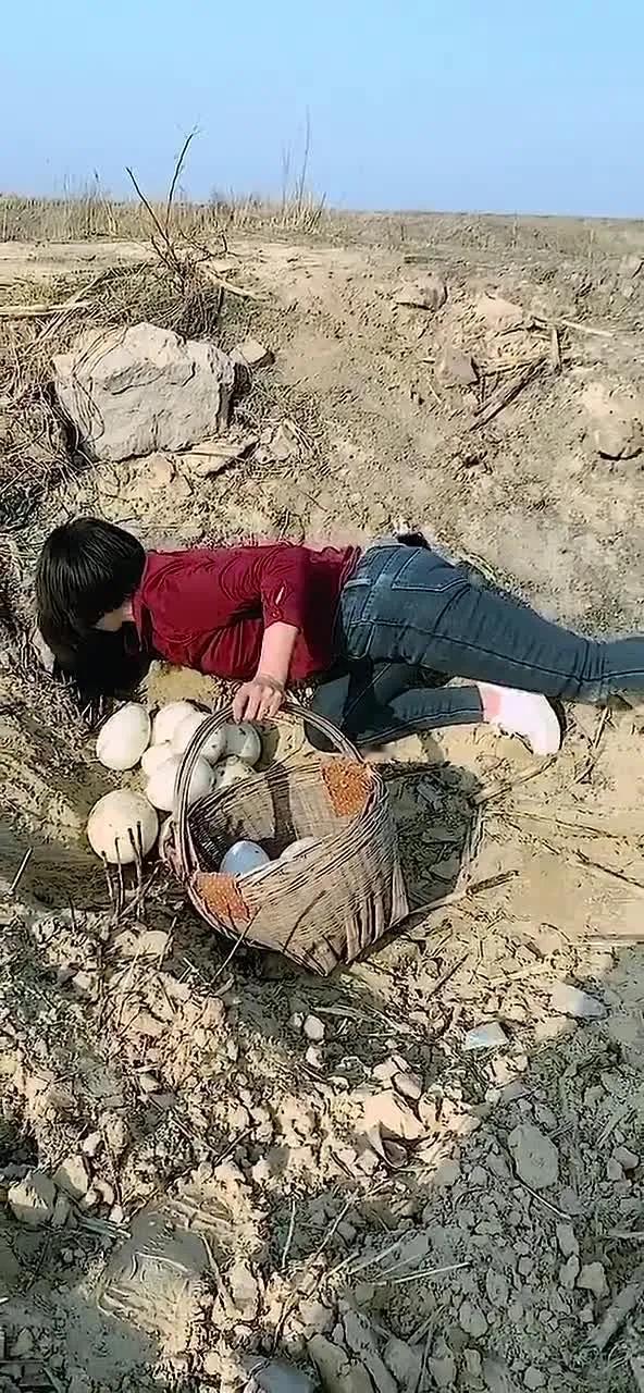 #记录秋日生活点滴#
这美女在捡啥呢？爬在地上，这么认真。