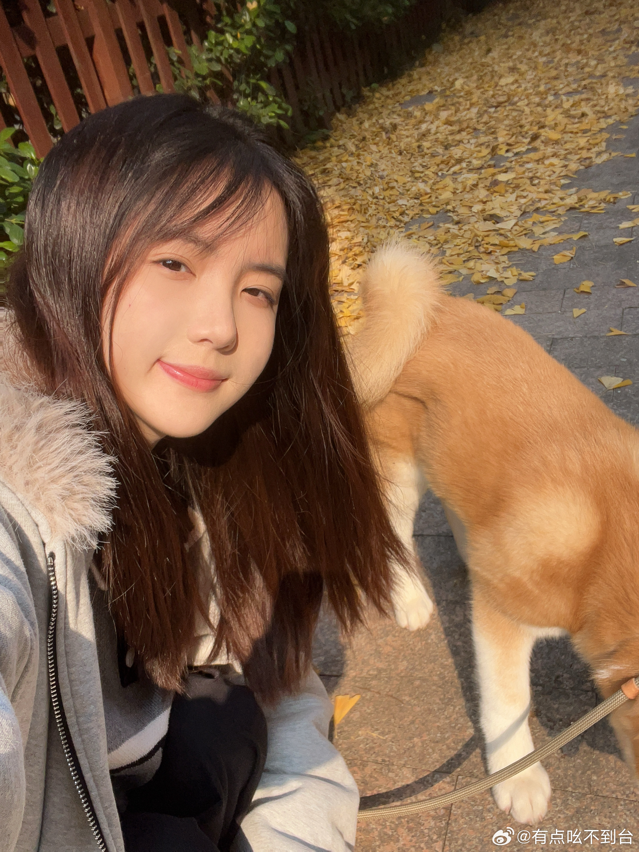 元元元旦旦旦快快快乐乐乐最近又多带了一个三个月小朋友 