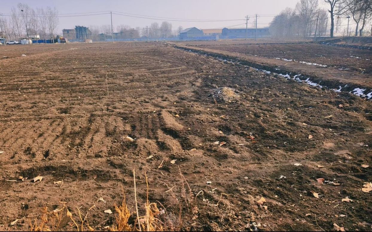 秦岭笑谈 【深耕黄河滩区，探寻农业发展新路径】曲阜师范大学大学生寒假社会实践曲阜