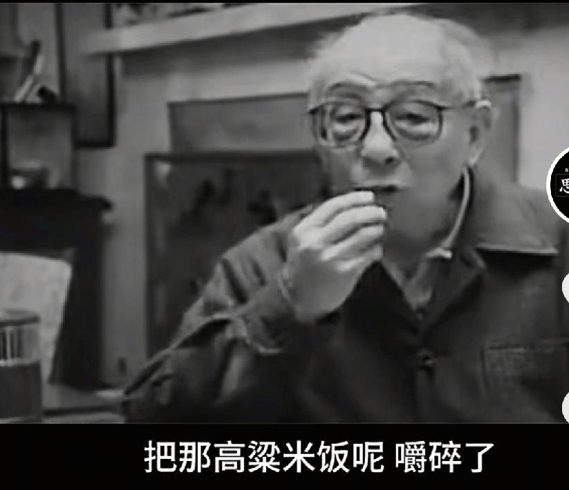 今天看到了一段张学良晚年的回忆说，曾经有人说他不是他父亲的亲儿子。
说这话的根据