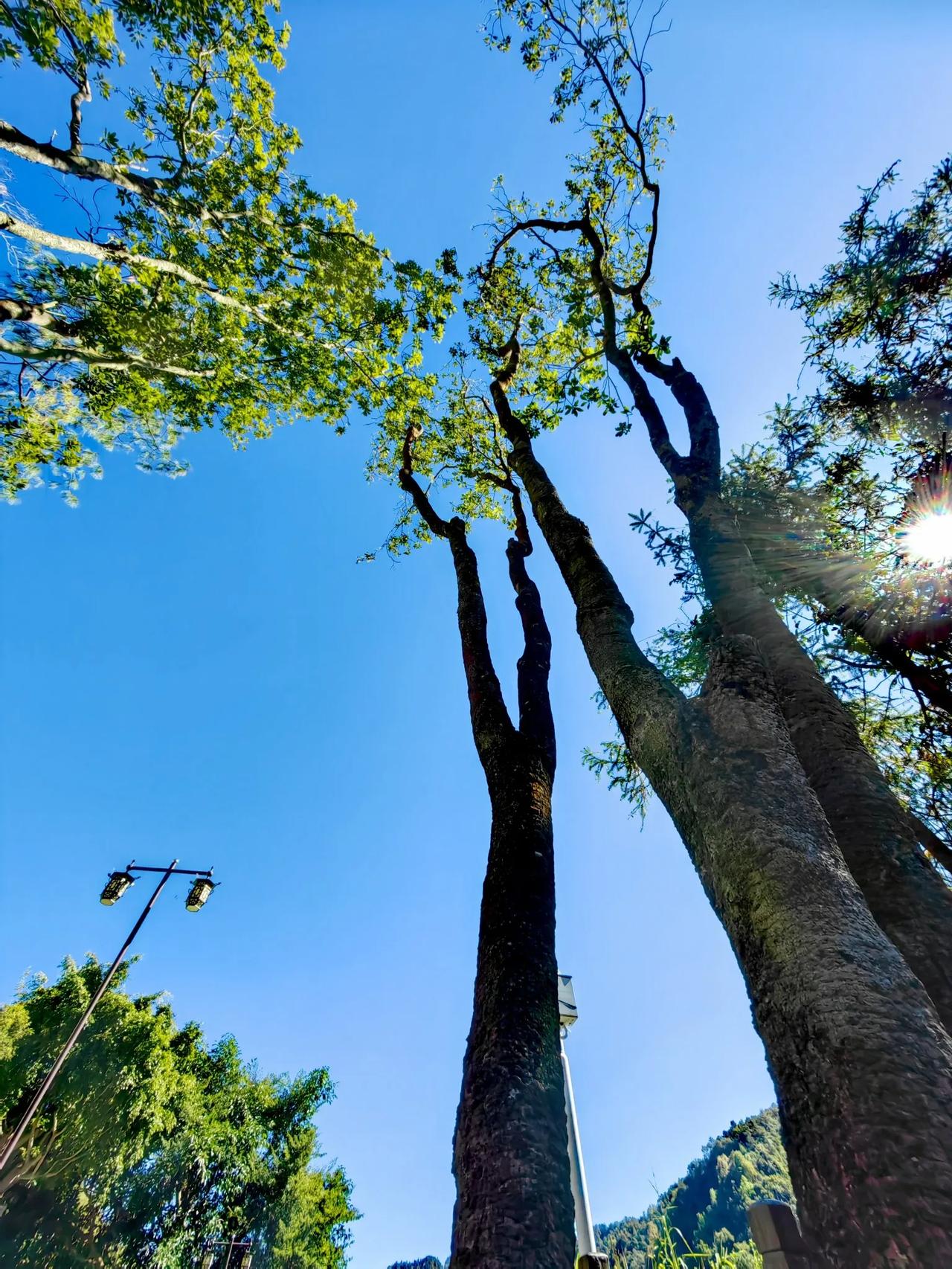 拍一张我的城市美景