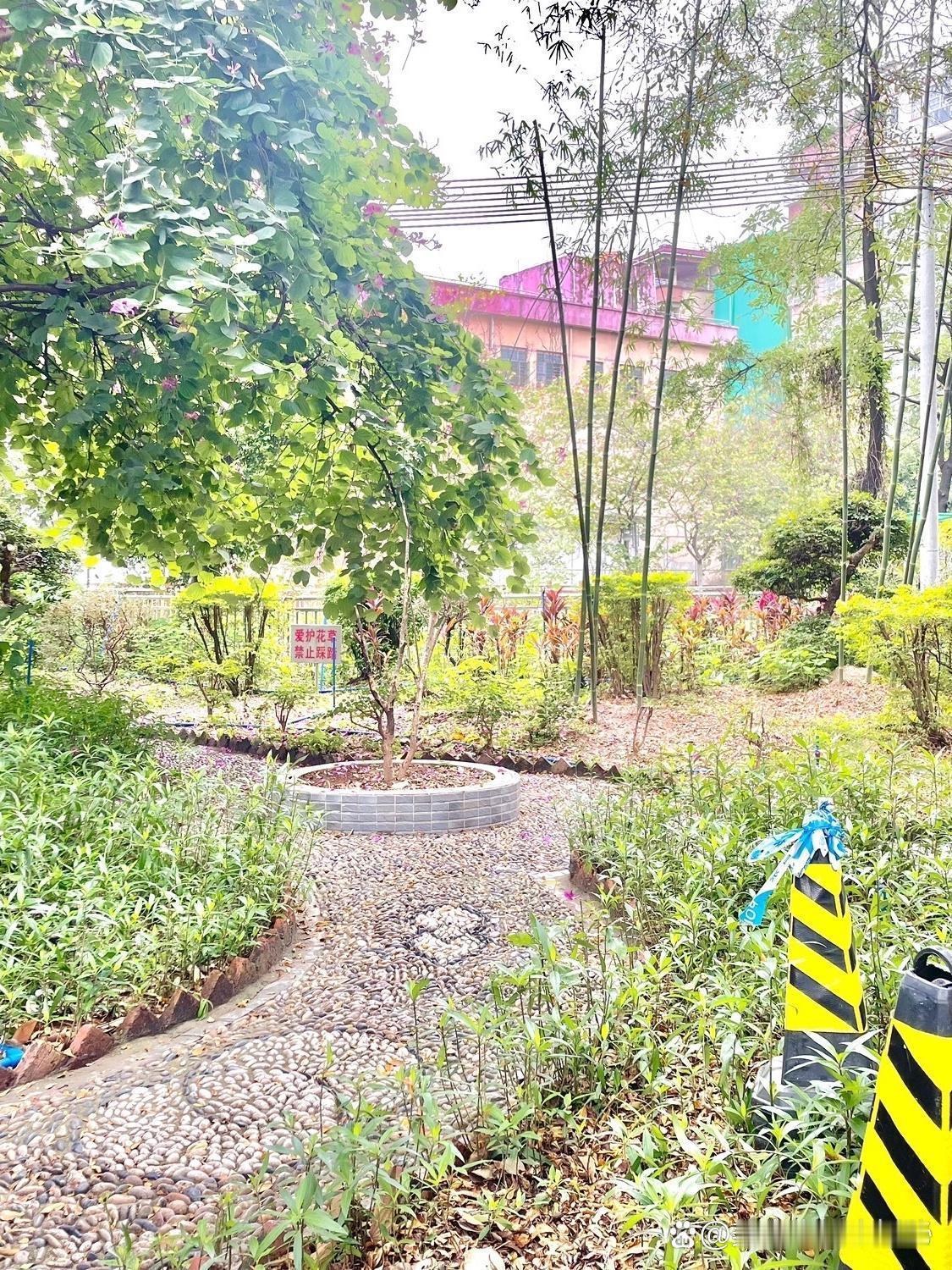员村公园｜城市绿洲里的夏日避暑秘境

🌿发现一个藏在老城区的清凉秘境！周末在员