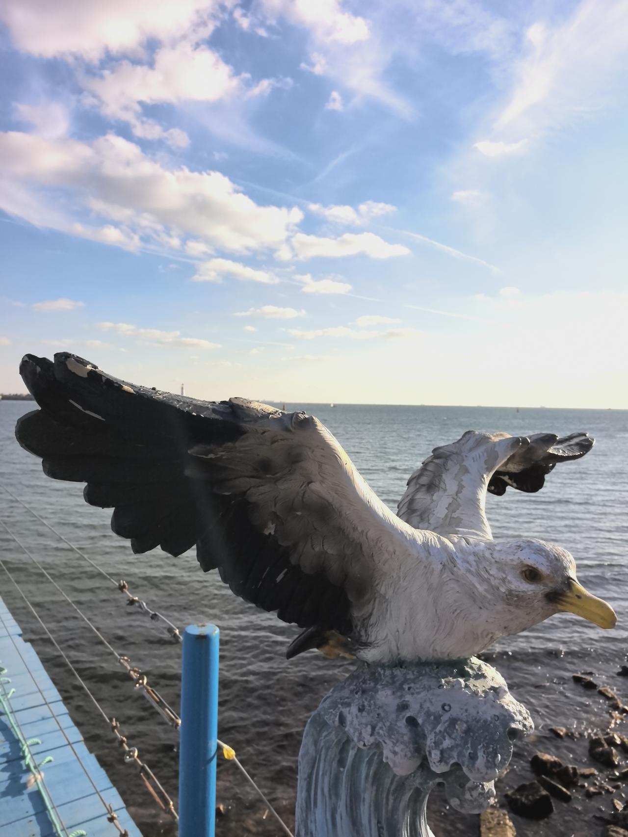 读心术！社会 有几条靠谱？
1、吃饭喜欢翻菜的人，一般都很自私。
2、丑话说到前
