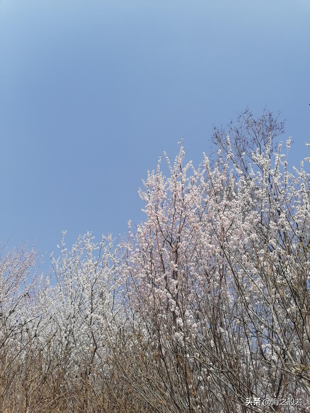 北京市气象台19日6时发布：
今天白天晴间多云，北转南风三级，最高气温17℃，夜