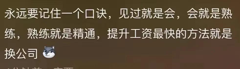 提升工资根本就不是勤学苦干，任劳任怨，而是跳槽，原来我们一直者走错了啊！
在一个