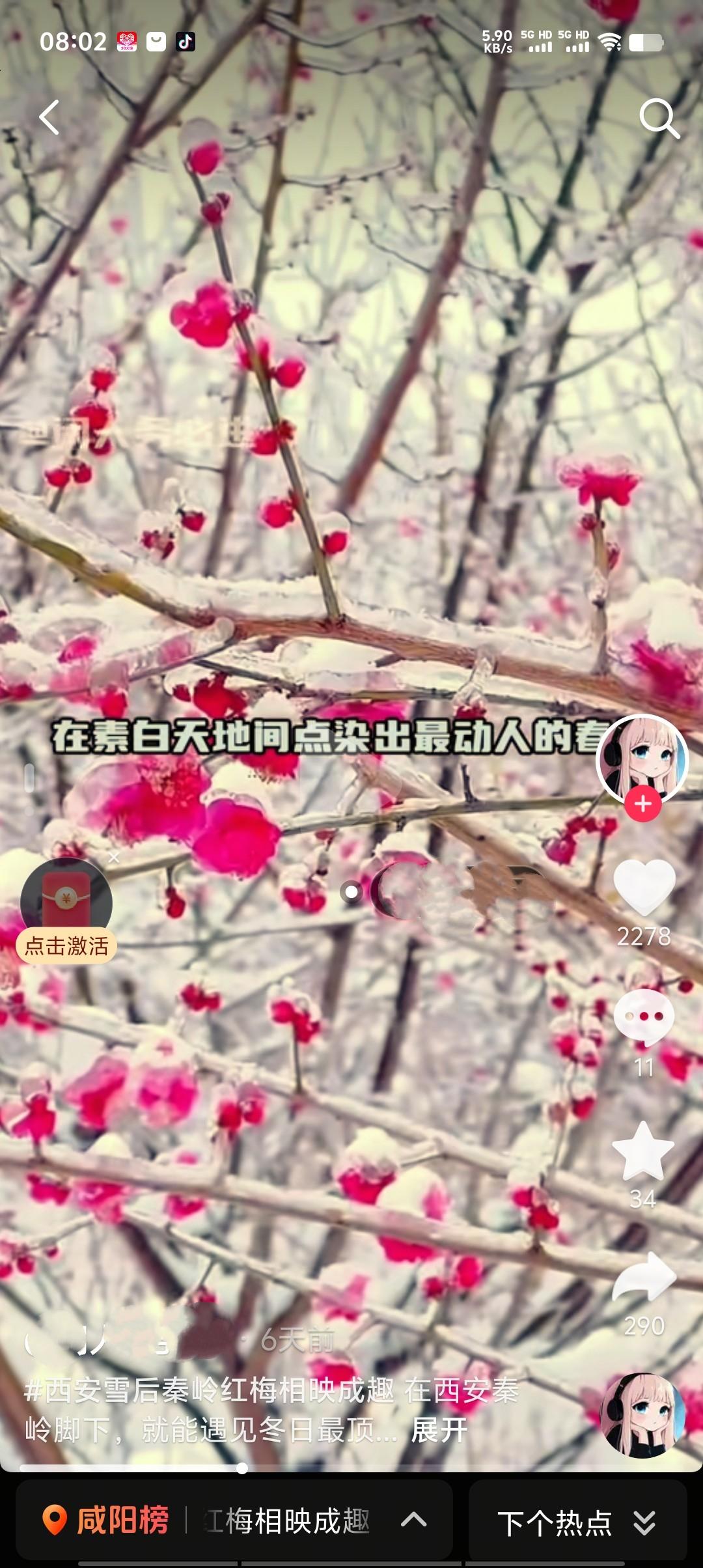 2月下旬，西安一场雪悄然飘落，秦岭被银装素裹。雪后初晴，漫山红梅傲雪绽放，娇艳欲