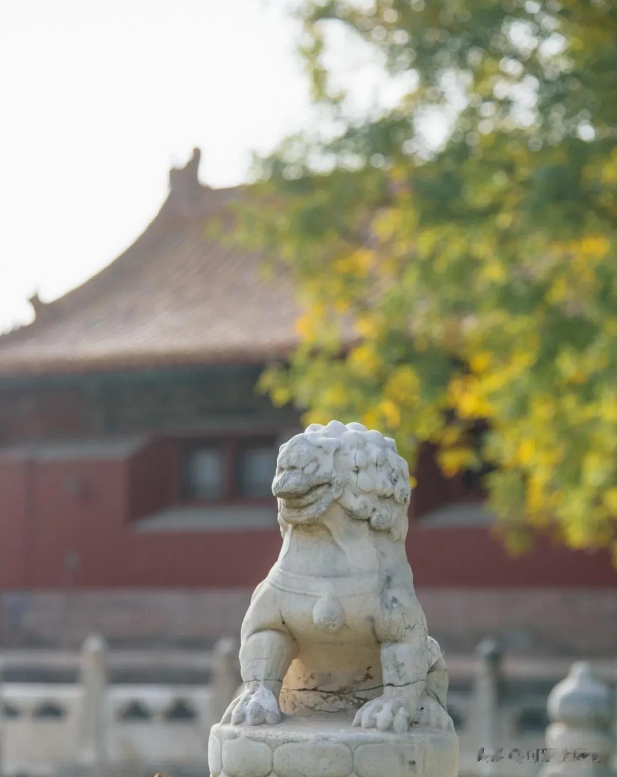  
北京光影·秋色
北京的秋天庄严而浓烈，古老而浪漫，深沉而无言碧蓝的天空，朱红