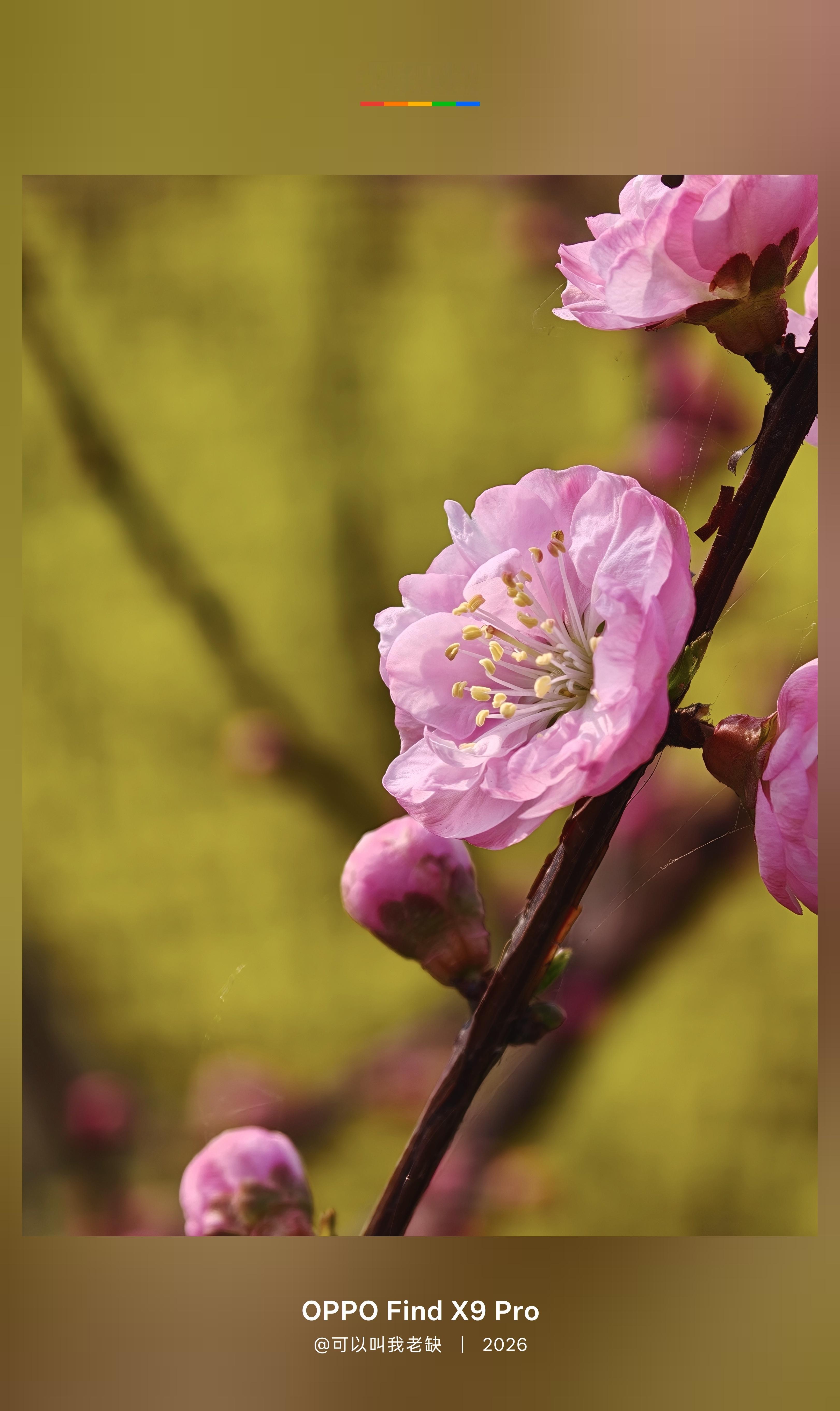 今天好热啊，感觉春天快结束了