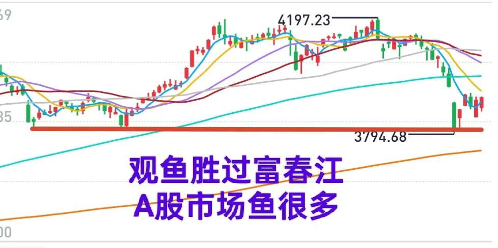 A股的韧性，在于市场整体估值处于相对低位，当下买入便是布局未来！今/明两天需谨防