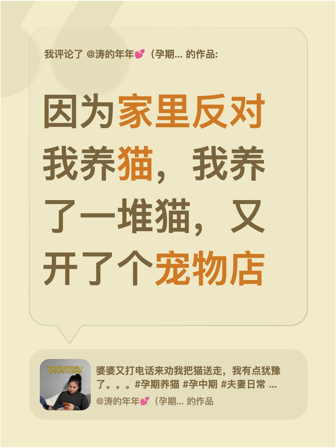 我评论了 的作品： 因为家里反对我养猫，我养了一堆猫，又开了个宠物店