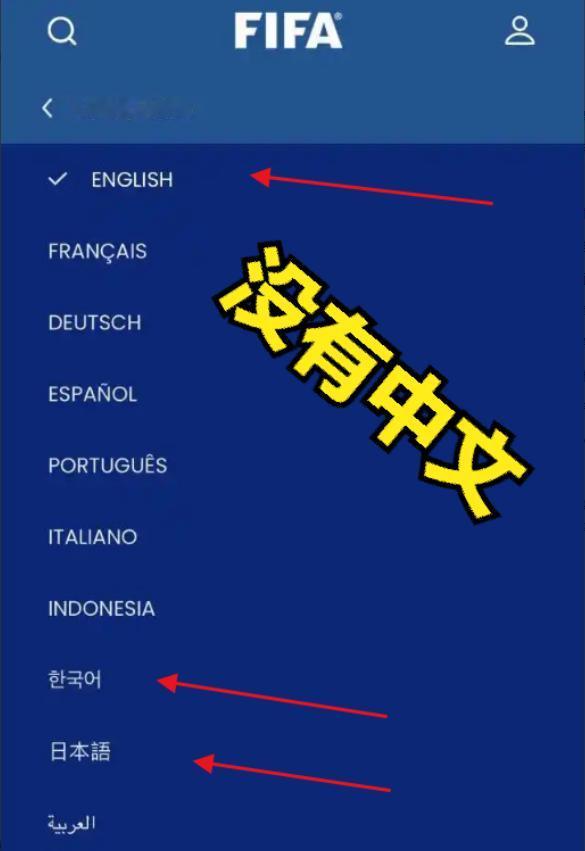 8 种语言齐上线，中文却被 “凭空消失”！5 月 10 日，国际足联官网的突然更