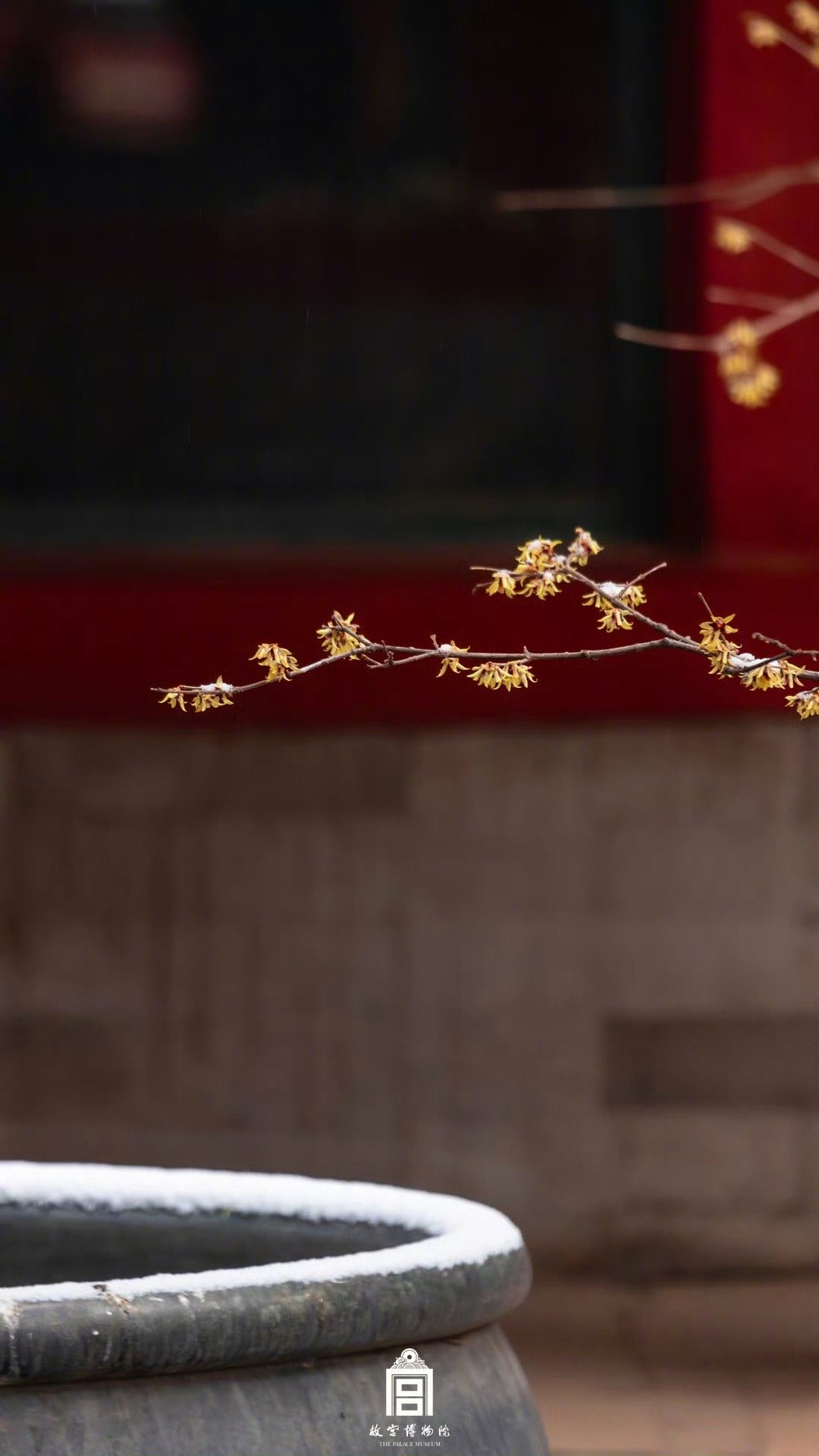 阳光信用  阳光信用 每日一善 即使再严酷的寒冬，冬必为春。这是宇宙的法则、生命