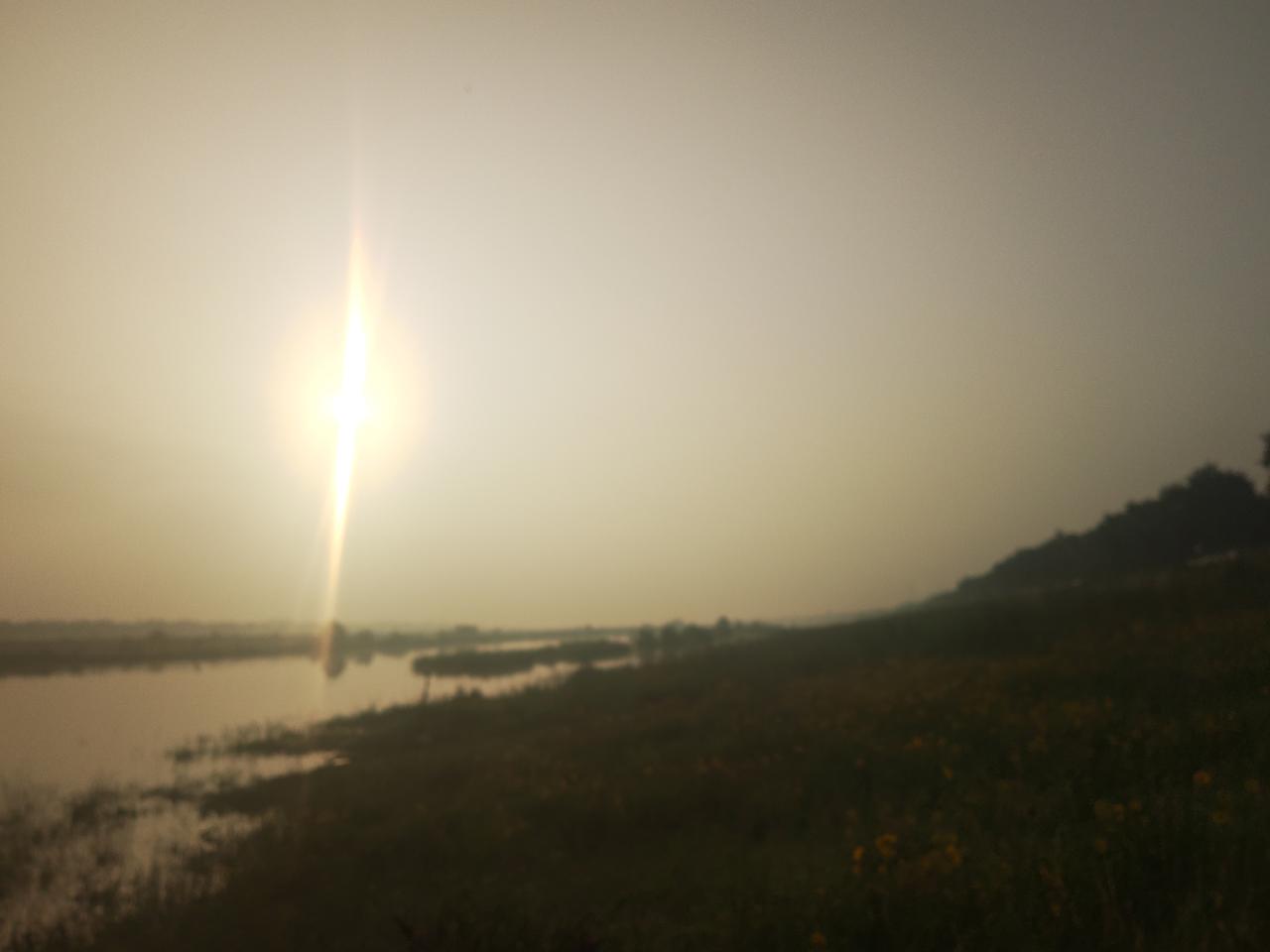 分享一张最近随手拍的照片早晨，到滹沱河一游，站在高高的堤坝柏油路上俯视，堤坝之下