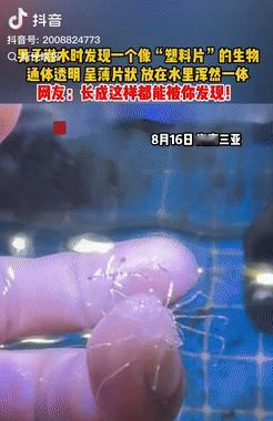 “彻底解释不清了！”一男子在海南三亚潜水，一头扎进水里，结果他好一会没有上来，不