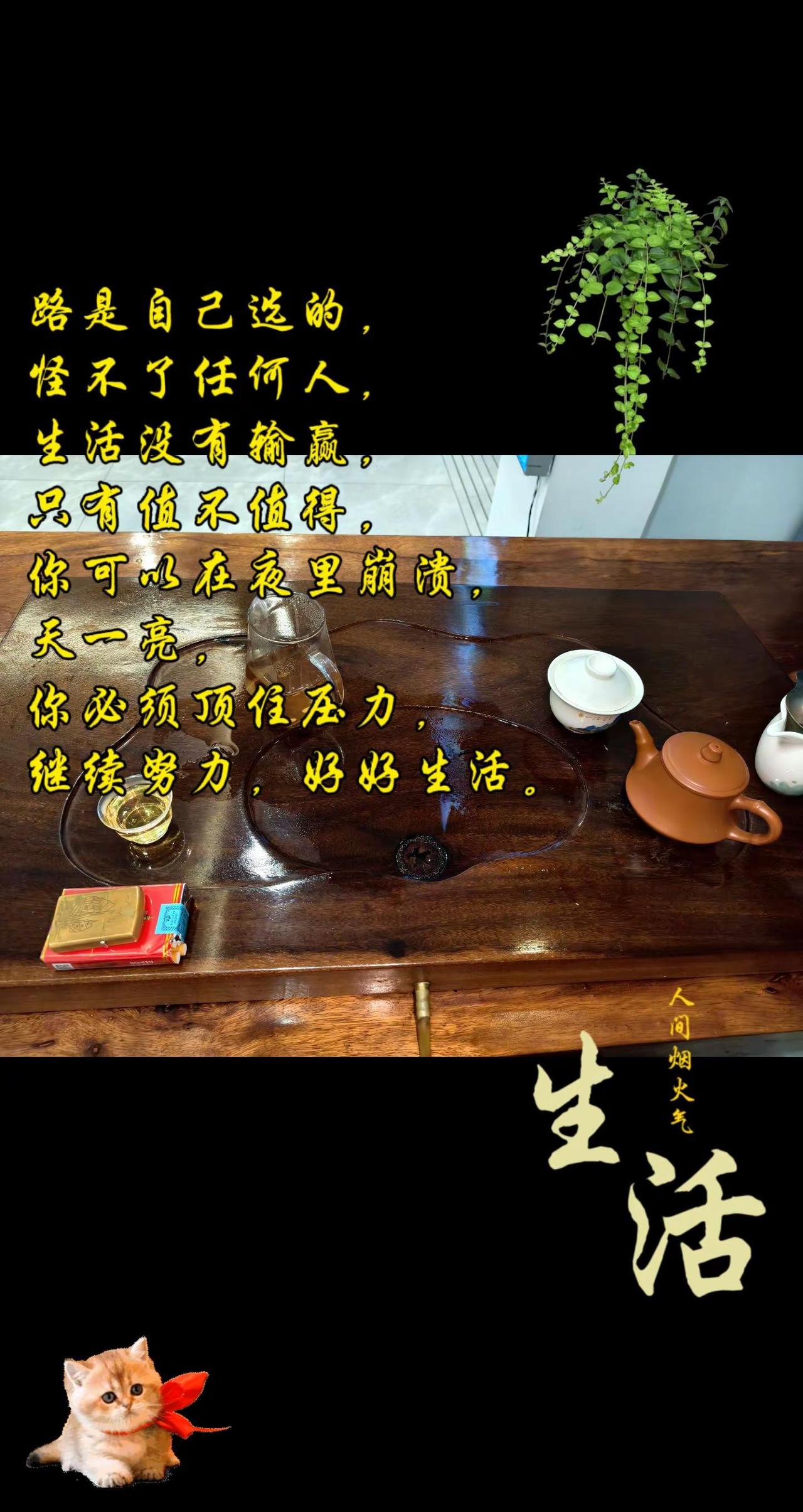  半盏清茶，观浮沉人生。喝茶那点事 不慌不忙，喝自己泡的茶，过自己的日子。