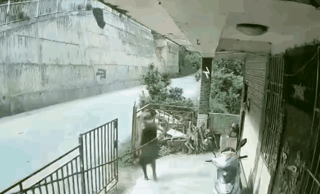 真是太离谱！这家人为了安全，在公路边私自装了护栏，本想着能挡车保安全，结果却闹出