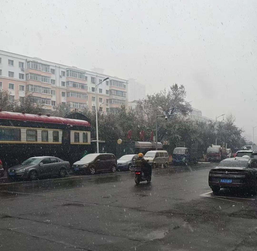 哈尔滨下雪了，雪飘落地上就化了。
​香坊通天街，延福街那旮瘩的老战友们，在家养狗