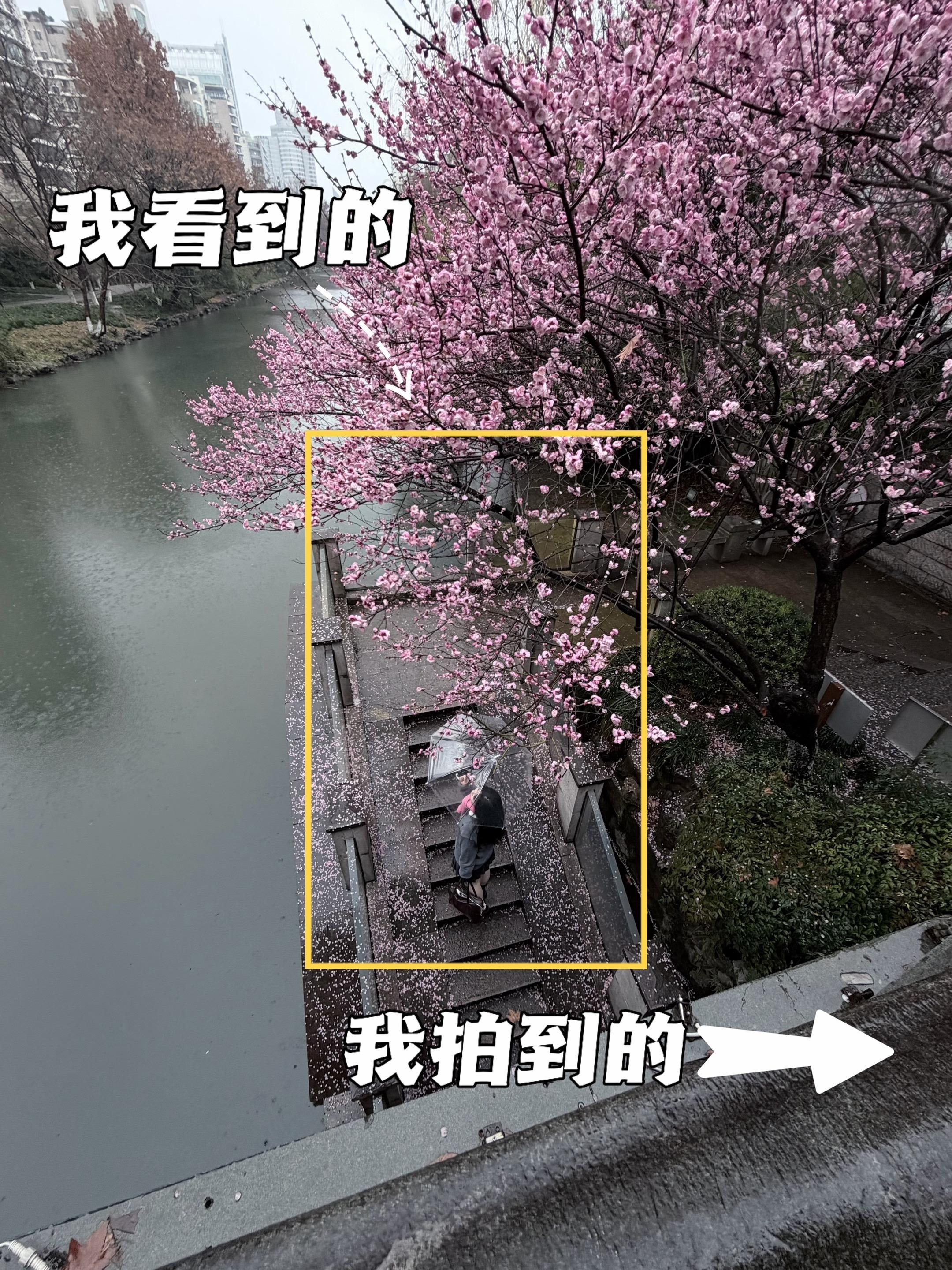 江南无所有，聊赠一枝梅。