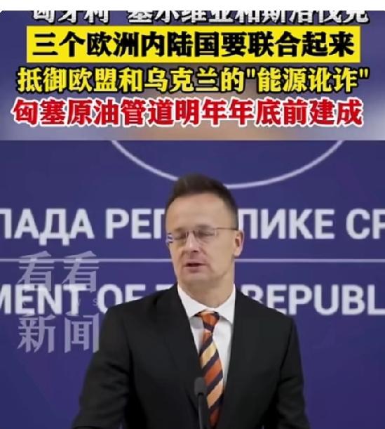 看到“匈称中企先进技术带动当地产业升级”，这事儿可太牛了。中企在匈牙利那是大展拳