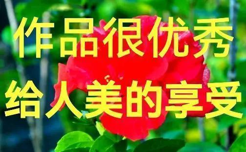 [赞][赞][赞][赞][赞][赞]