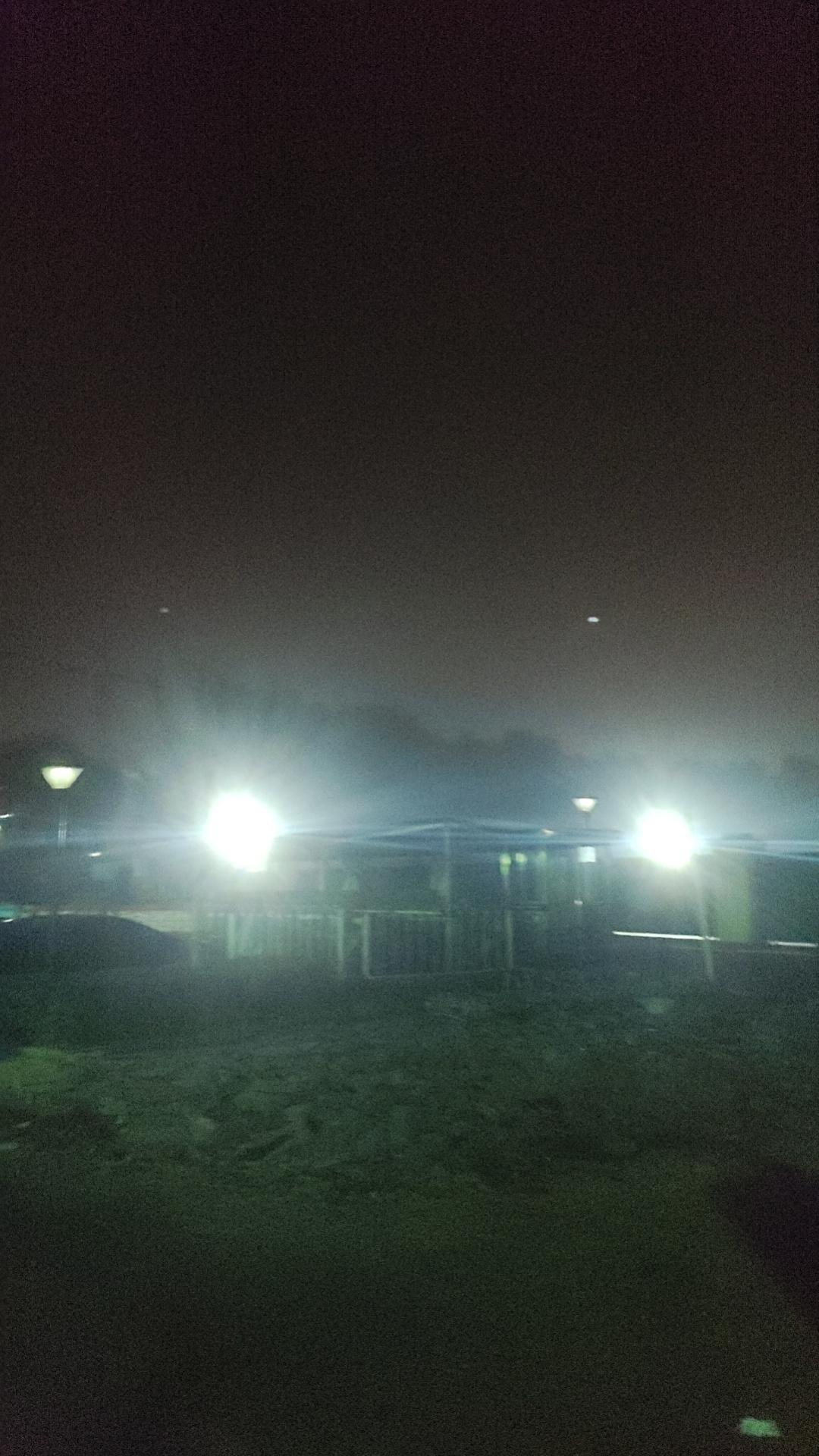 事出反常未必妖
今天反常事好多，早晨出来没有带钥匙，只好带雾锻炼了。本也不打算跑