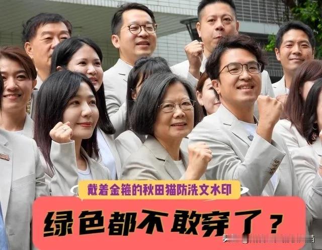 沈伯洋穿米色躲绿色，赖瑞隆挥球棒拐运气，绿营选将集体“变色”，就算蔡英文、陈其迈