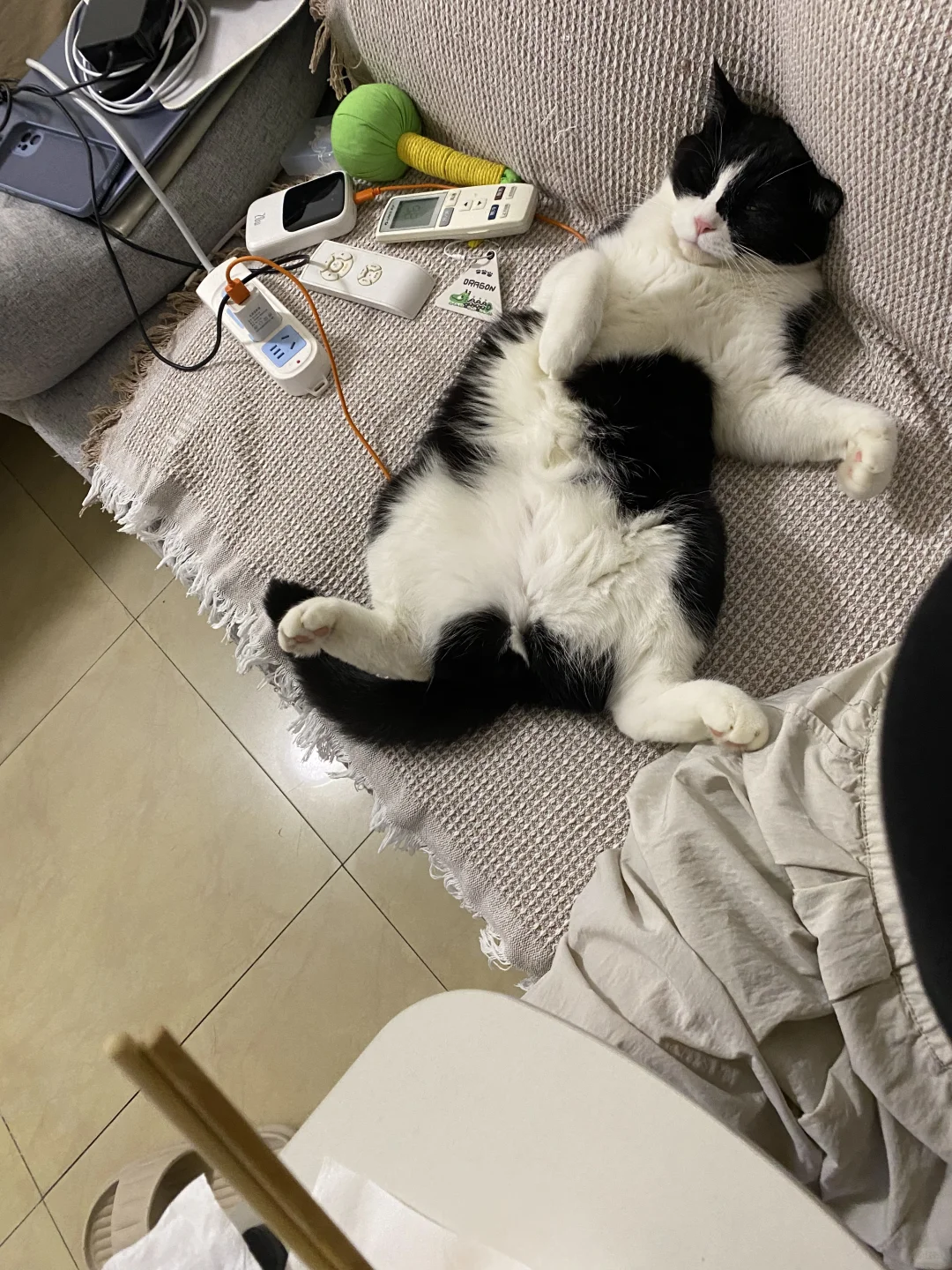 谁看了不想给它找个班上….