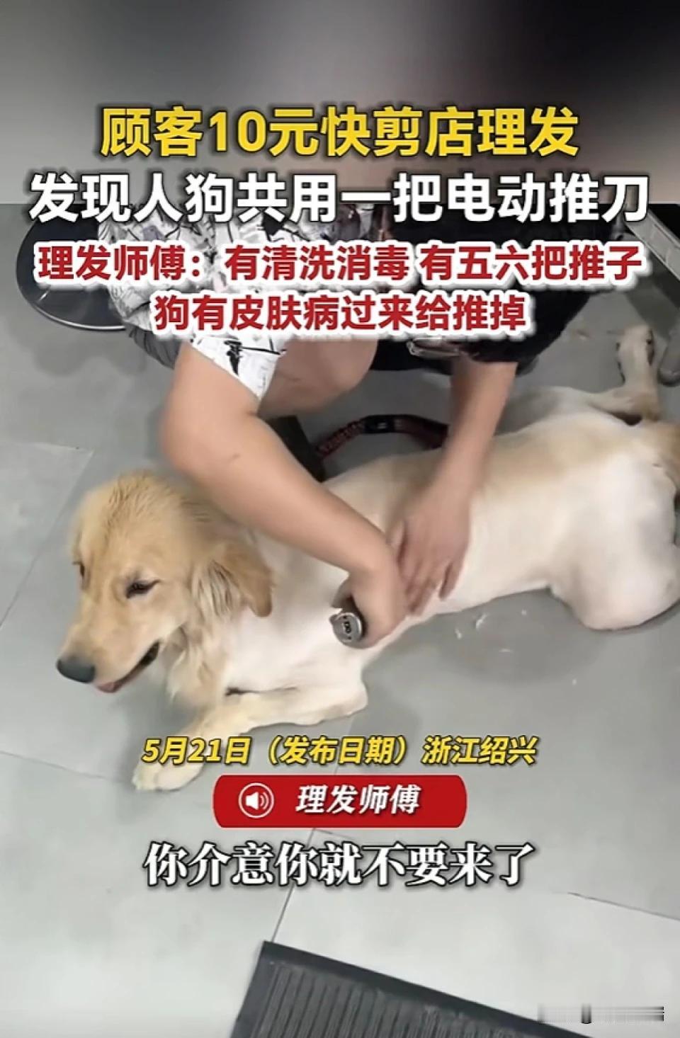 浙江男子发现10元快剪理发店人狗共用一把电动推刀，理发师傅：是特殊情况，狗有皮肤