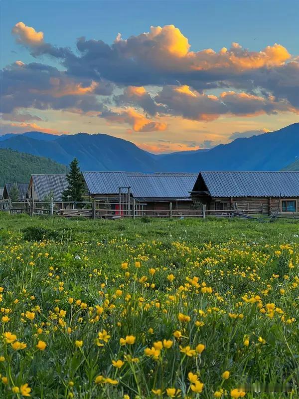 刚刷完《我的阿勒泰》！✨
草原的风像会洗眼睛，巴太和文秀并肩坐在夕阳里，一句“看