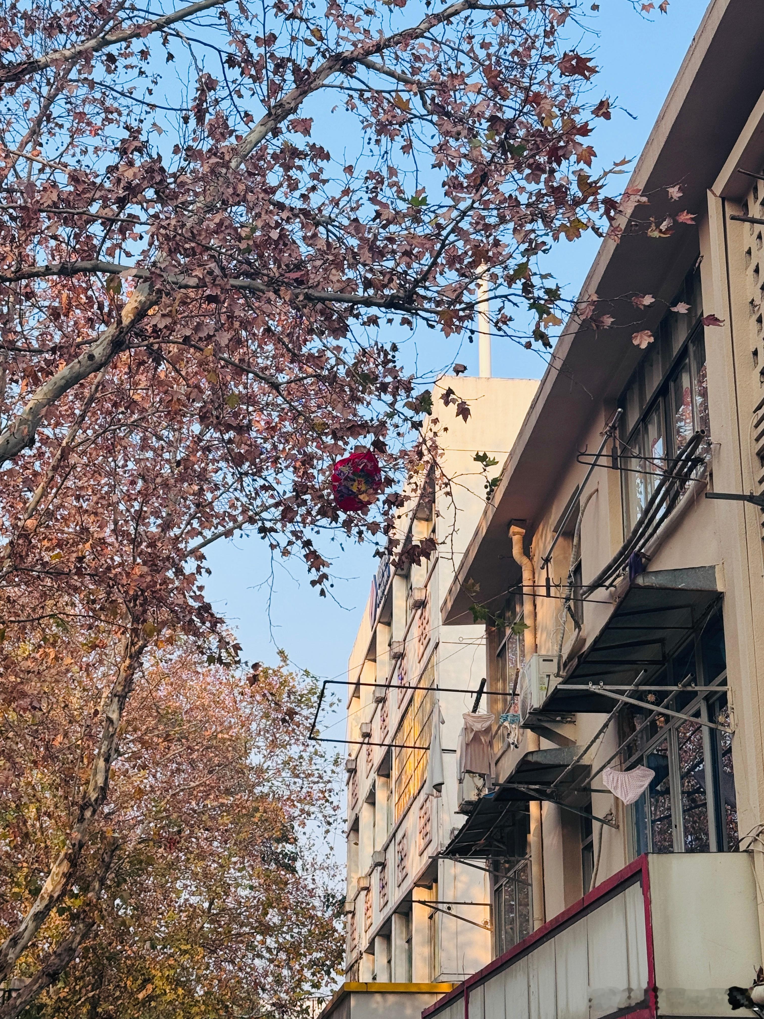 山里的辣条更好吃(•؎ •) 