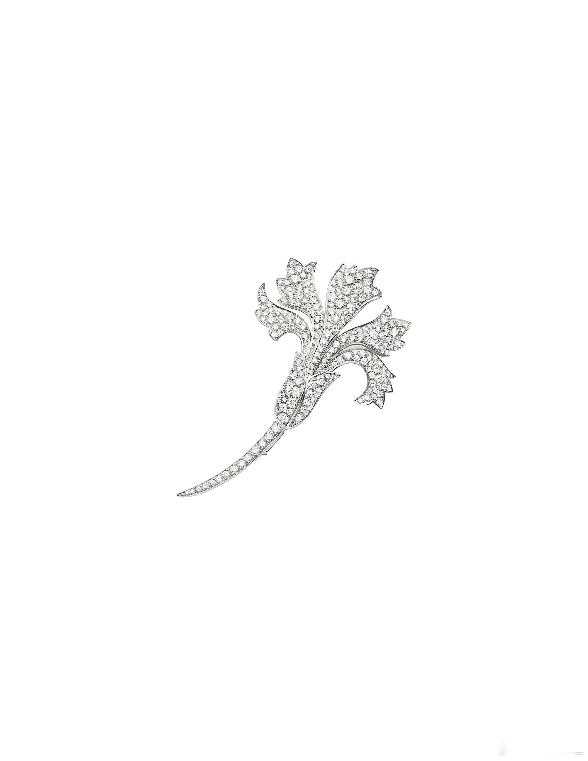 王耀庆 佩戴CHAUMET Œillet系列胸针，以第28届上海国际电影节开幕式