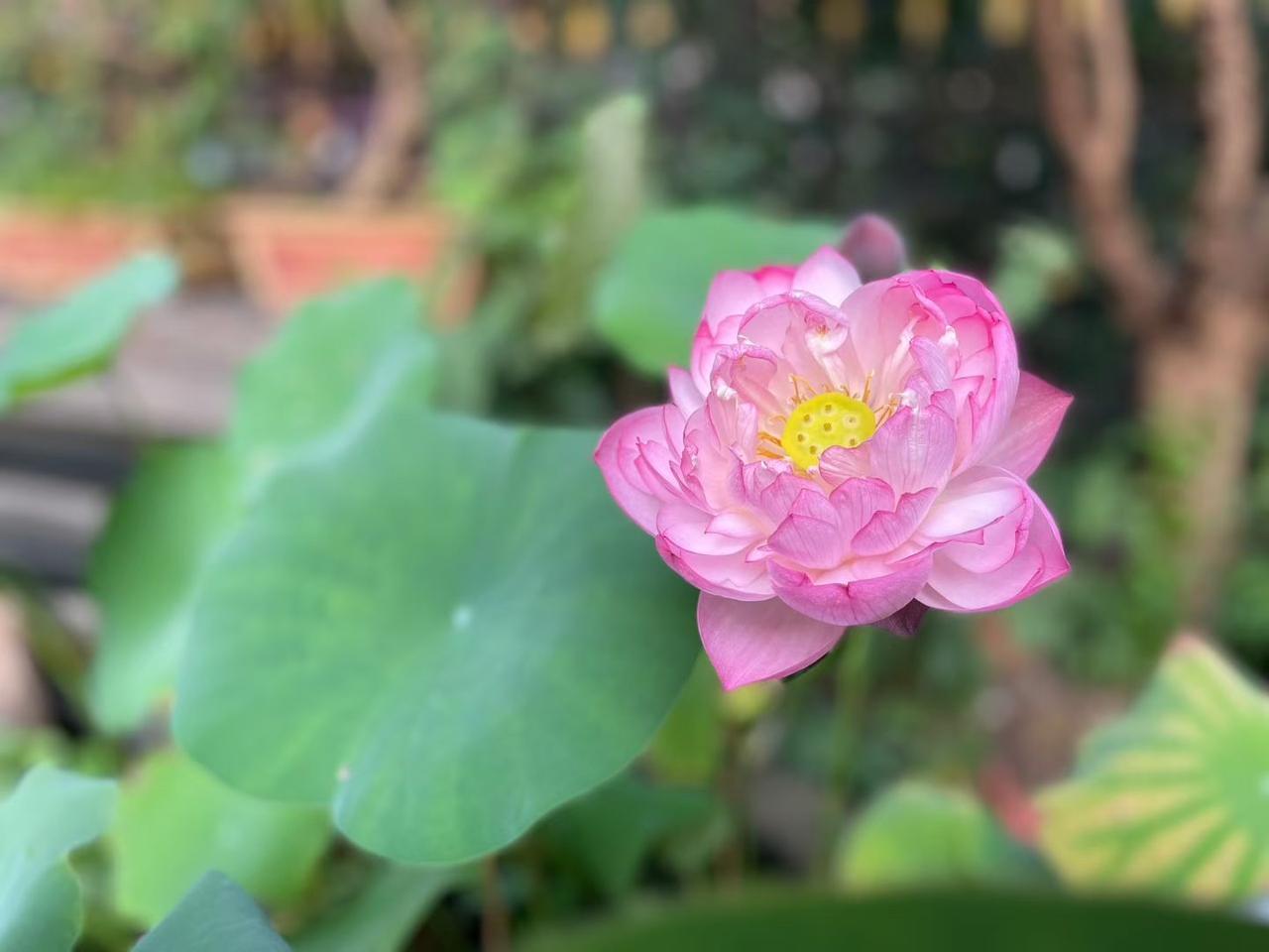 老公弄丢手机，瞬间慌了神。
昨晚表弟女儿办婚宴，我们一家开开心心赴宴。到酒店后，