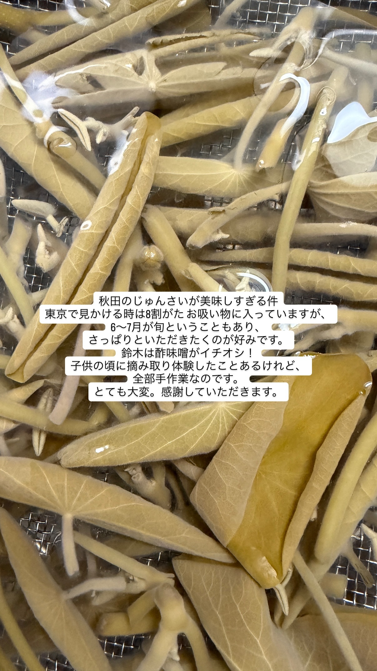 鈴木絢音