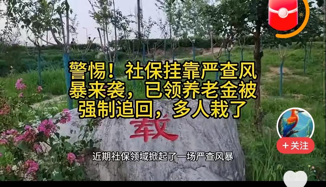 对于当年挂靠单位，个人出3万多元一次性补缴了社保，且已领取养老金的人，应网开一面