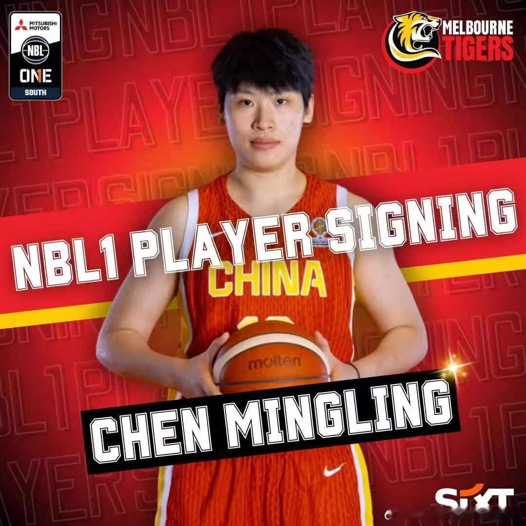 和杨舒予一样，陈明伶也签约了墨尔本老虎队， 