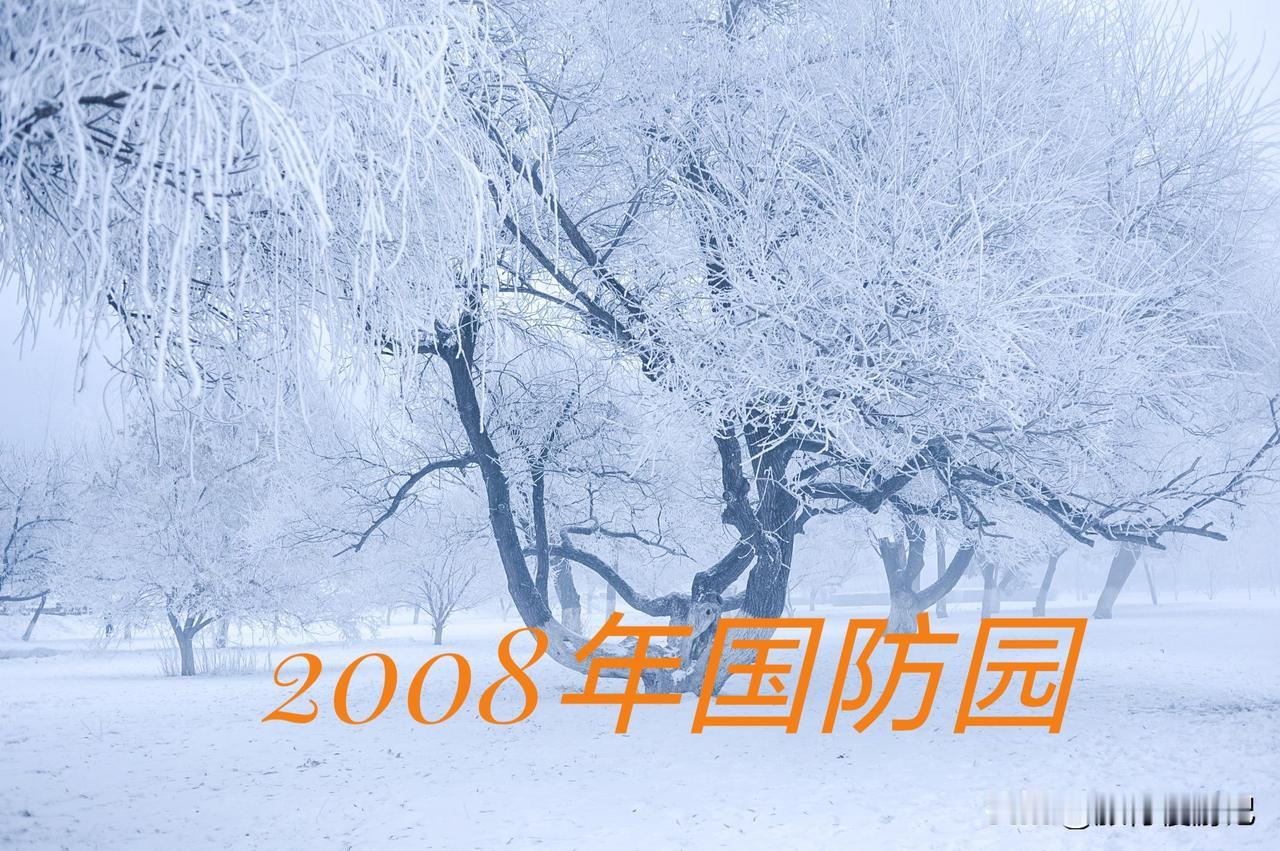 中国最美的雾凇在哪里?在吉林省吉林市，松花江沿岸的雾凇宛如冬天的童话。